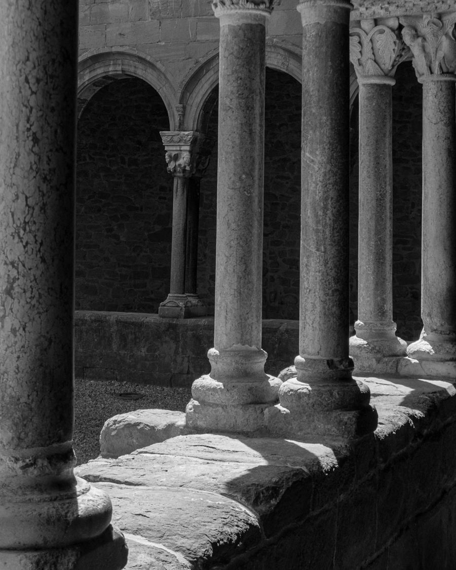 Stone columns of a Romanesque cloister in raking light