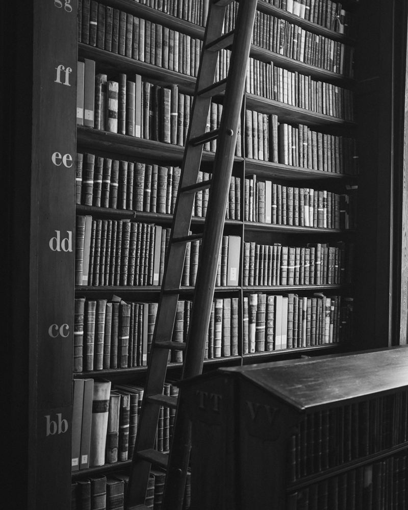 A wooden library ladder against tall shelves of antique leather-bound books